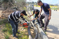بالفيديو: لجنة إكرام الميت بيافا تُنظم الحملة الشهرية لتنظيف مقبرة طاسو بالمدينة 
